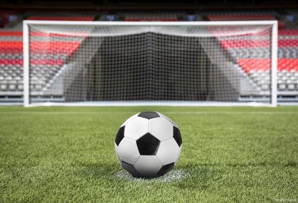 天天盈球下载版本界面展示