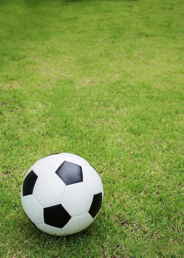 天天盈球数据分析功能